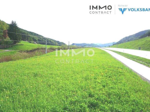 Gewerbegrundstück zum Kauf 195.000 € 4.568 m² Grundstück frei ab sofort Waidhofen an der Ybbs 3340