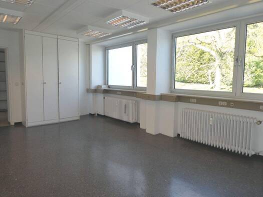 Bürofläche zur Miete provisionsfrei 1.760 € 352 m² Bürofläche Bad Soden 65812