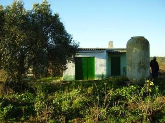 Bauernhaus zum Kauf 105.000 € 3 Zimmer 70 m² 22.000 m² Grundstück Bollullos par del Condado 21710