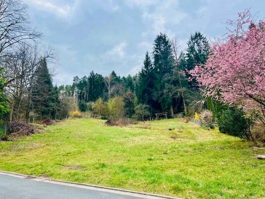 Grundstück zum Kauf provisionsfrei 265.000 € 1.862 m² Grundstück Baugenehmigung vorhanden frei ab sofort Altenplos Heinersreuth 95500