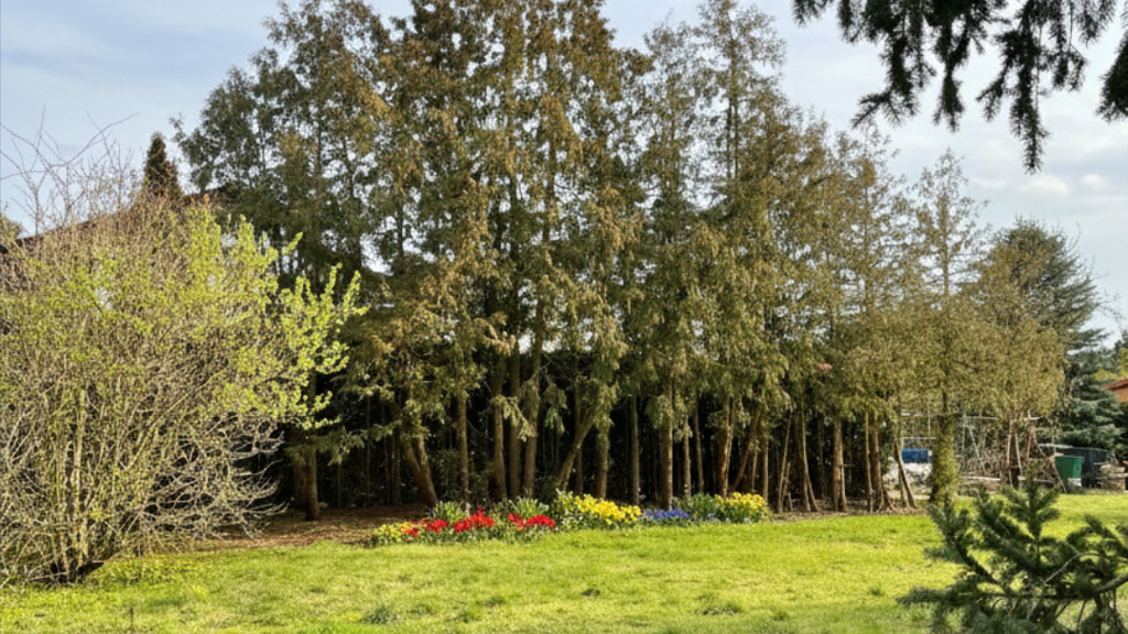 Grundstück zum Kauf 245.900 € 409 m² Grundstück Biesdorf Berlin 12683