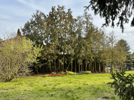Grundstück zum Kauf 245.900 € 409 m² Grundstück Biesdorf Marzahn-Hellersdorf 12683