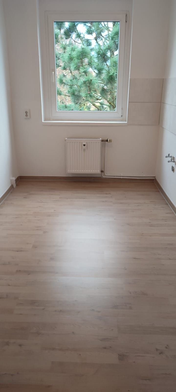 Wohnung zur Miete 270 € 2 Zimmer 55 m²<br/>Wohnfläche 1.<br/>Geschoss ab sofort<br/>Verfügbarkeit Breite Straße 45 Großalsleben Gröningen 39397