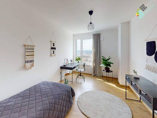 Studio zur Miete - Erstbezug 1.570 € 2 Zimmer 64 m² 2. Geschoss Forst-Kasten-Allee 123b Thalk.Obersendl.-Forsten-Fürstenr.-Solln München 81475
