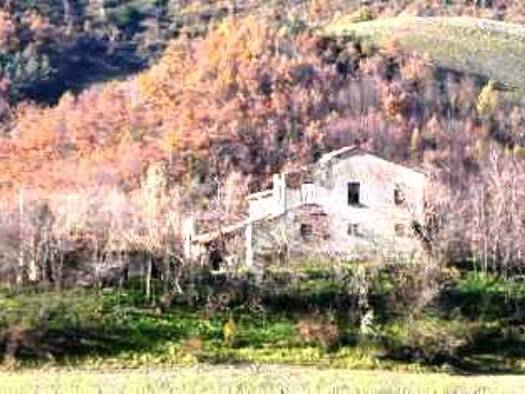Einfamilienhaus zum Kauf 250.000 € 4 Zimmer 600 m² 5.000 m² Grundstück Pesaro 61100