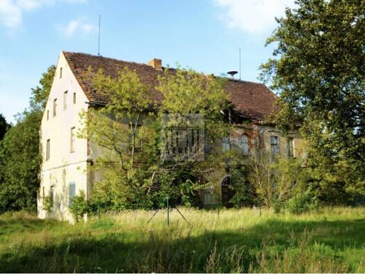Schloss zum Kauf 35.000 € 9 Zimmer 400 m² 2.891 m² Grundstück Ressen Neu-Seeland 03103