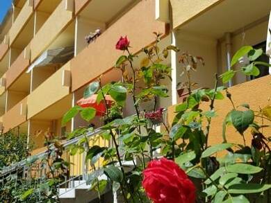 Wohnung zur Miete 410 € 3 Zimmer 68,1 m² 3. Geschoss frei ab sofort Töpferstraße 9 Olbersdorf 02785