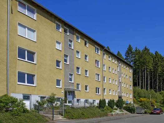 Wohnung zur Miete 349 € 2 Zimmer 51,9 m² 3. Geschoss Auf der Burg 125 Ohle Plettenberg 58840