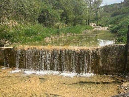 Land-/Forstwirtschaft zum Kauf 3.200.000 € Motovun Motovun