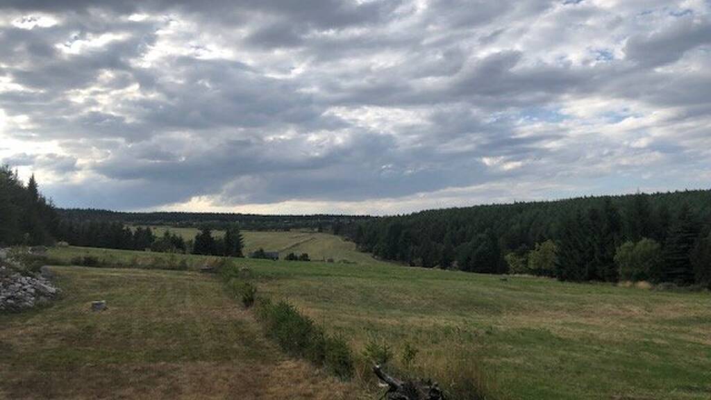 Freizeitgrundstück zum Kauf 18.000 € 900 m² Grundstück Zinnwald-Georgenfeld Altenberg 01773