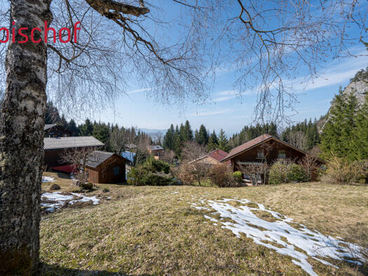 Grundstück zum Kauf Hohenems 6845