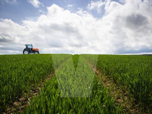 Landwirtschaftliche Fläche zum Kauf 3.160 m² Grundstück Pfäfflingen Nördlingen / Nähermemmingen 86720