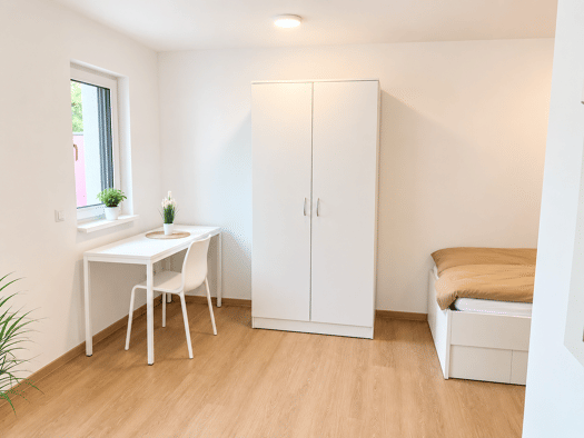 Wohnung zur Miete 700 € 1 Zimmer 25 m² Geschoss 2/5 frei ab sofort Johannisstraße 116 St Johannis Nürnberg 90419