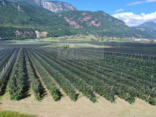 Grundstück zum Kauf 409.000 € 5.109 m² Grundstück Eppan an der Weinstraße 39057