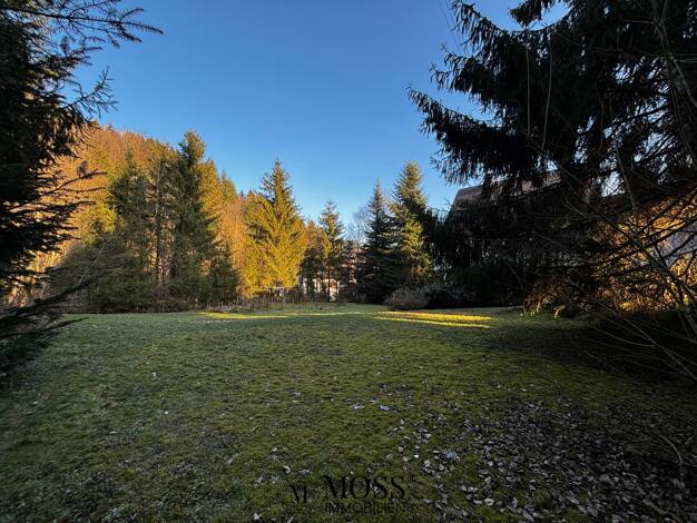 Grundstück zum Kauf 595.000 € 2.075 m² Grundstück Hasel 79686