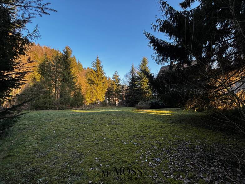 Grundstück zum Kauf 595.000 € 2.075 m² Grundstück Hasel 79686