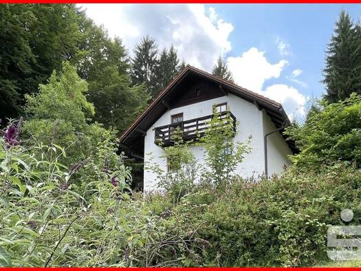 Einfamilienhaus zum Kauf 249.000 € 5 Zimmer 46,1 m² 2.373 m² Grundstück frei ab sofort Kirchdorf Kirchdorf i.Wald 94261