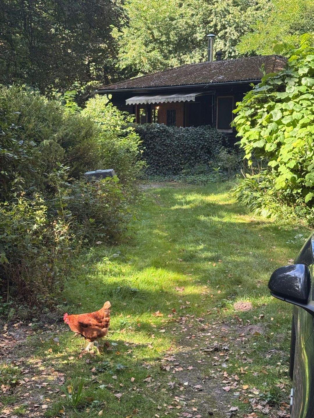 Immobilie in Stemmen - Bungalow in traumhafter Lage an kleinem Bach - Bild 1