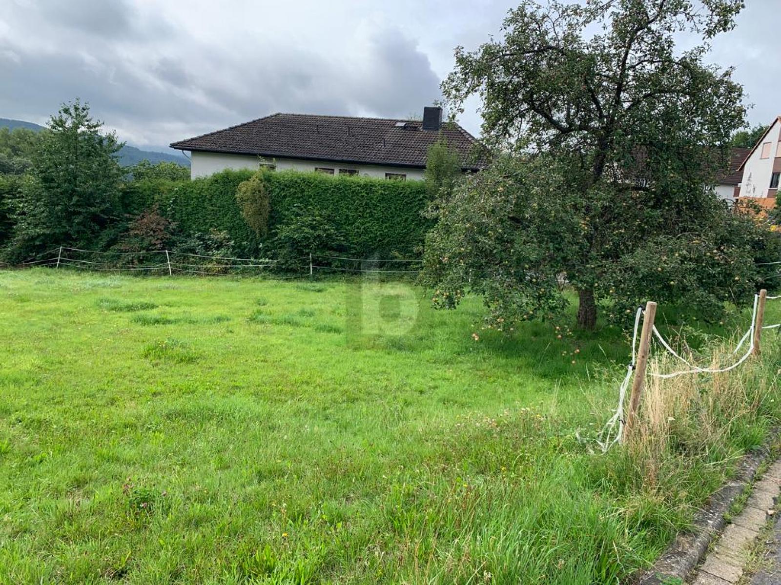 Grundstück zum Kauf 43.000 € 1.265 m²<br/>Grundstück Hülsa Homberg (Efze) 34576