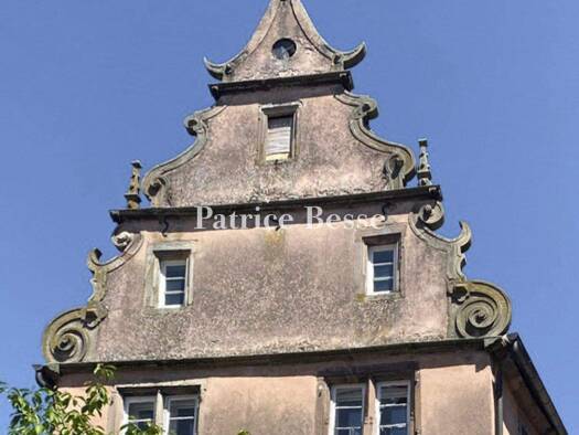 Reihenmittelhaus zum Kauf 120.000 € 15 Zimmer 300 m² 292 m² Grundstück Contades Centre Strasbourg 67000