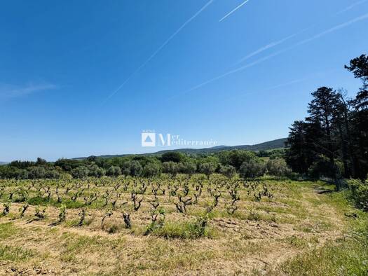 Herrenhaus zum Kauf 25 Zimmer 518 m² 100.000 m² Grundstück Avenue Paul Roussel 42 Port de Saint-Tropez Saint-Tropez 83990