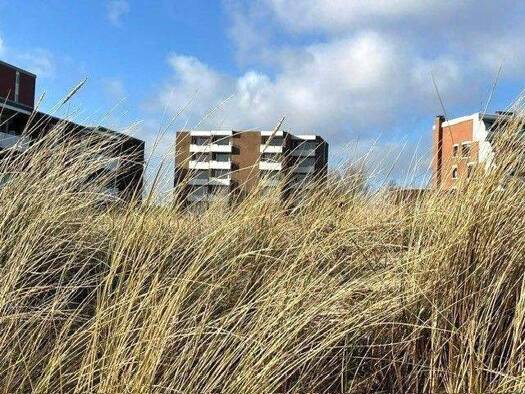 Wohnung zum Kauf provisionsfrei 389.000 € 3 Zimmer 56 m² EG Wyk auf Föhr 25938