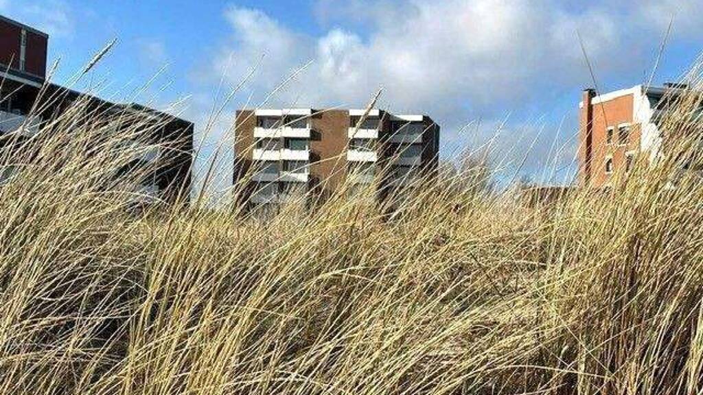 Wohnung zum Kauf provisionsfrei 389.000 € 3 Zimmer 56 m² EG Wyk auf Föhr 25938