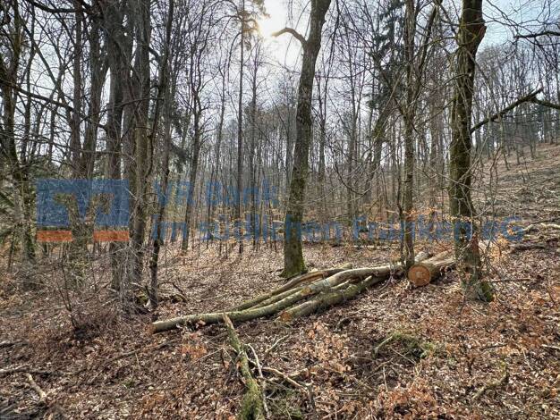 Land-/Forstwirtschaft zum Kauf 29.349 € 10.870 m² Grundstück Treuchtlingen 91757