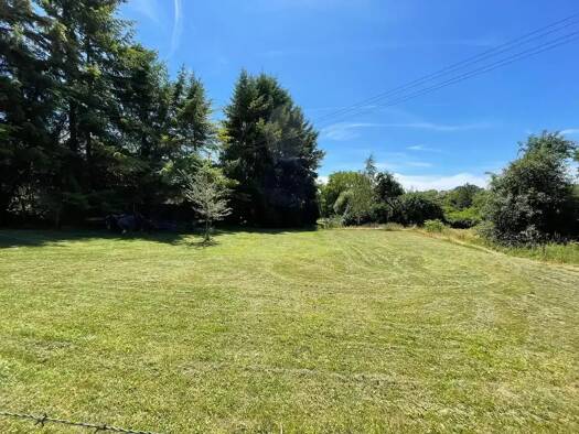 Grundstück zum Kauf provisionsfrei 75.000 € 1.100 m² Grundstück Talling 54426