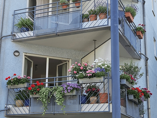 Wohnung zum Kauf provisionsfrei als Kapitalanlage geeignet 86.500 € 1 Zimmer 32 m² Fürstenwalder Straße 1 Striesen-Ost Ortsamtsbereich Blasewitz 01277