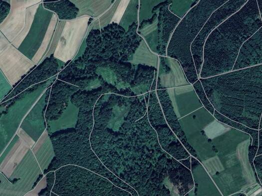 Forstwirtschaft zum Kauf provisionsfrei 3.900 € 2.603 m² 2.603 m² Grundstück Großwiesenweg südlich Hergetsfeld Knüllwald 34593