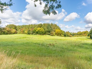 Grundstück zum Kauf 430.000 € 4.496 m² Grundstück Eilsdorf Pronstorf 23820