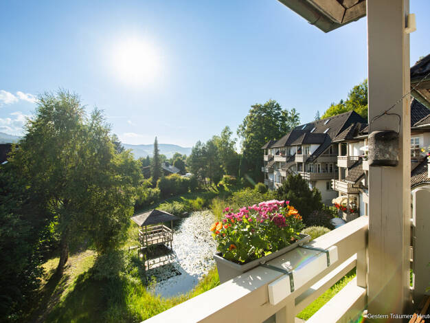 Wohnung zum Kauf 295.000 € 3 Zimmer 71 m² Hinterzarten 79856