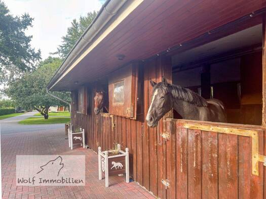 Bauernhaus zum Kauf 619.000 € 9,5 Zimmer 349 m² 12.681 m² Grundstück Sellstedt Schiffdorf-Sellstedt 27619