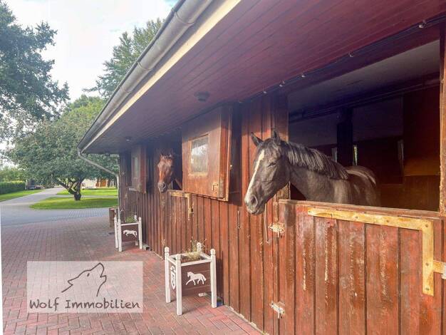 Bauernhaus zum Kauf 619.000 € 9,5 Zimmer 349 m² 12.684 m² Grundstück Sellstedt Schiffdorf-Sellstedt 27619