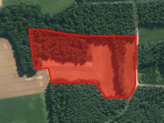 Landwirtschaftliche Fläche zum Kauf 199.500 € 29.305 m² 29.305 m² Grundstück Eglsee Amberg 92224
