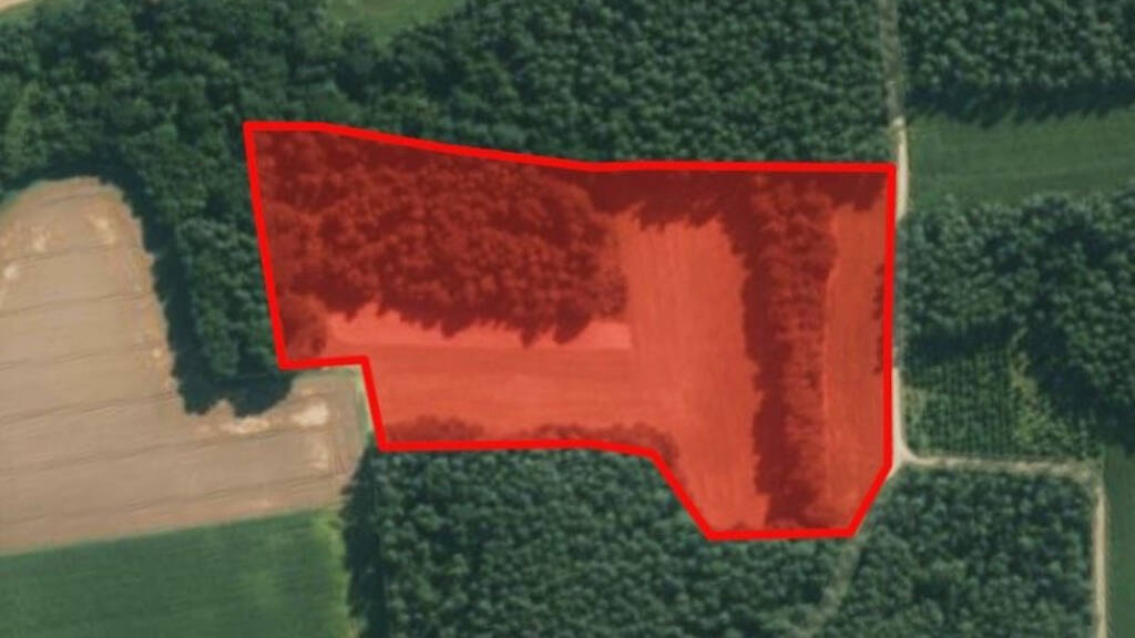 Landwirtschaftliche Fläche zum Kauf 199.500 € 29.305 m² 29.305 m² Grundstück Eglsee Amberg 92224