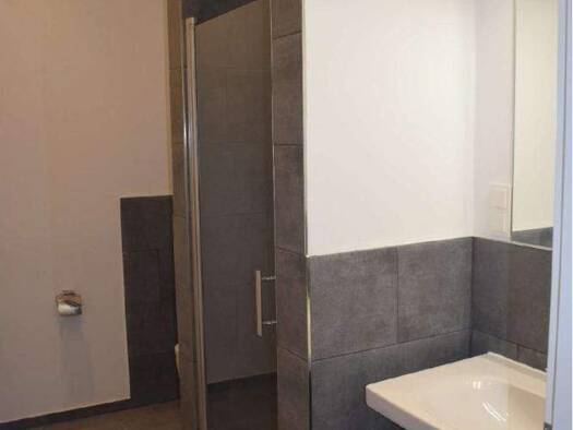 Wohnung zur Miete 188 € 1 Zimmer 25 m² Georgenpatz 1 Schedewitz Zwickau 08056