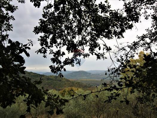 Grundstück zum Kauf 1.050.000 € Oprtalj 52428