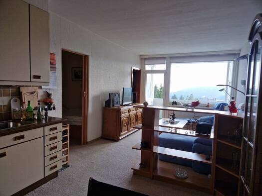 Studio zum Kauf 55.000 € 3 Zimmer 48 m² 5. Geschoss frei ab sofort Hahnenklee Goslar 38644