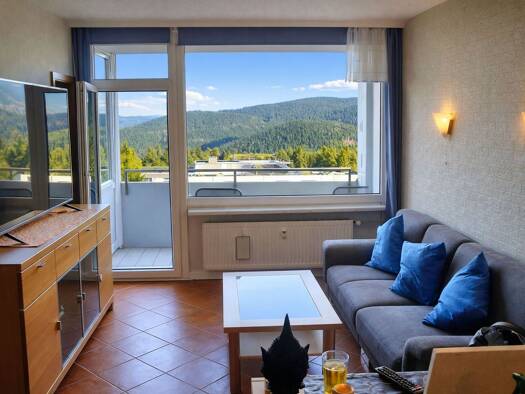 Wohnung zum Kauf provisionsfrei 48.000 € 3 Zimmer 48,5 m² 6. Geschoss frei ab sofort Hahnenklee Goslar 38644