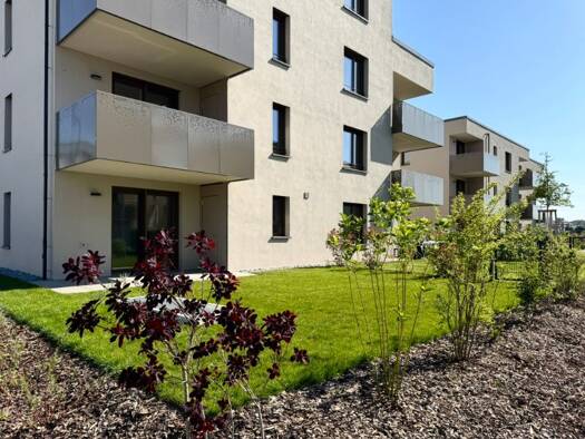 Wohnung zum Kauf - Erstbezug provisionsfrei 520.000 € 3 Zimmer 81,8 m² EG Anna-Haag-Weg 47 Maichingen Sindelfingen-Maichingen 71069