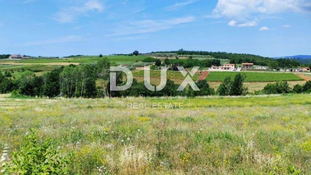 Land-/Forstwirtschaft zum Kauf 125.000 € Vizinada