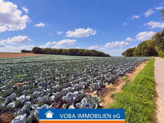 Land-/Forstwirtschaft zum Kauf 276.000 € 24.080 m² Grundstück Lind Rheurdt 47509
