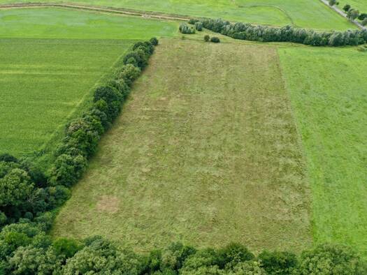 Land-/Forstwirtschaft zum Kauf 34.142 m² Grundstück Vollersode 27729