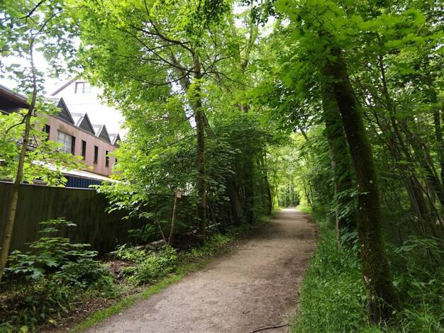 Wohnung zum Kauf 469.000 € 3 Zimmer 73,2 m² 2. Geschoss Untergiesing-Harlaching München 81543