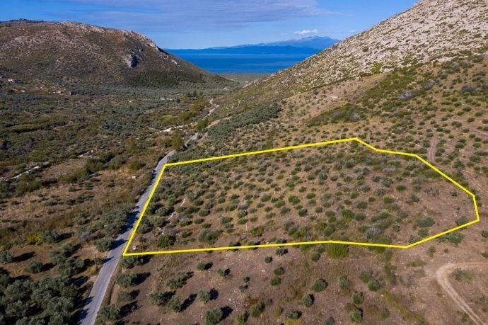 Grundstück zum Kauf 100.000 € 9.995,5 m²<br/>Grundstück Prinos, Thassos