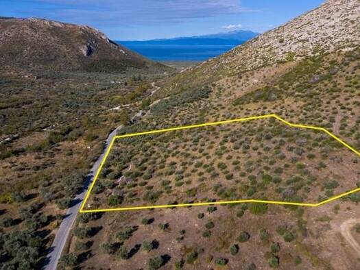 Grundstück zum Kauf 100.000 € 9.995,5 m² Grundstück Prinos, Thassos