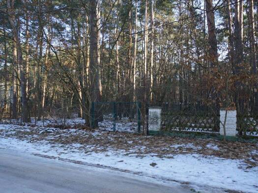 Grundstück zum Kauf 399.000 € 2.557 m² Grundstück frei ab sofort Borkwalde 14822