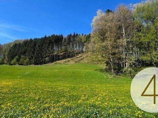 Grundstück zum Kauf 56.500 € 1.002 m² Grundstück St. Leonhard am Wald Waidhofen an der Ybbs 3263